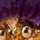 https://img.ltwebstatic.com/images3_spmp/2024/03/09/9b/1709955522cfbb6157345c941023beb6e874ebee4b.jpg