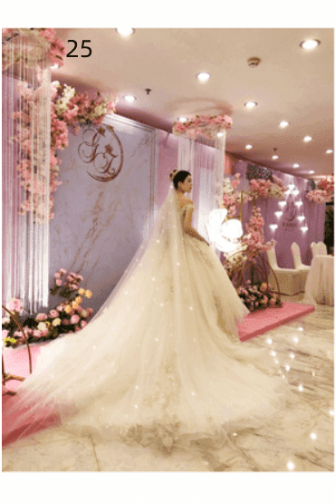 Wedding Dress Long Tail Luxury Super Fairy Wedding Veil - HEPSIBAH SHOP