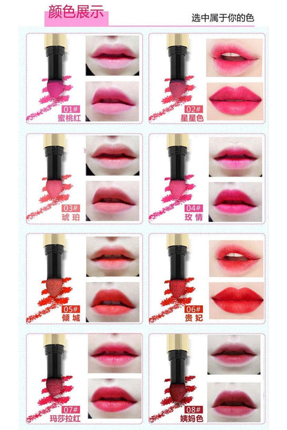 Powder Matte lipstick - HEPSIBAH SHOP