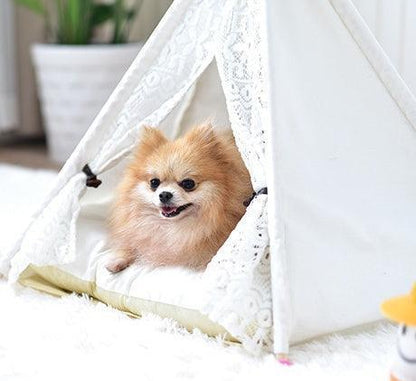 Small spotted tent cat kennel tent