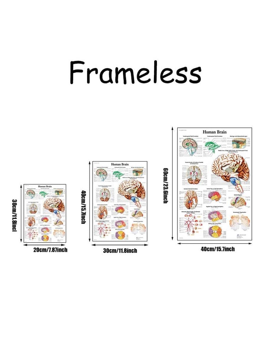 1pc Introduction to Anatomy of Human Brain System Knowledge Canvas Posters,HD Unframed