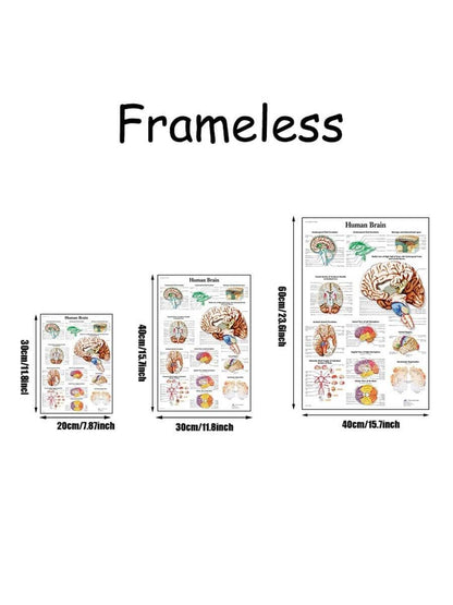 1pc Introduction to Anatomy of Human Brain System Knowledge Canvas Posters,HD Unframed