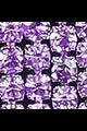 https://img.ltwebstatic.com/images3_spmp/2023/11/14/ed/16998960249259301291aa3bbbe1e14bb92521bb81.jpg