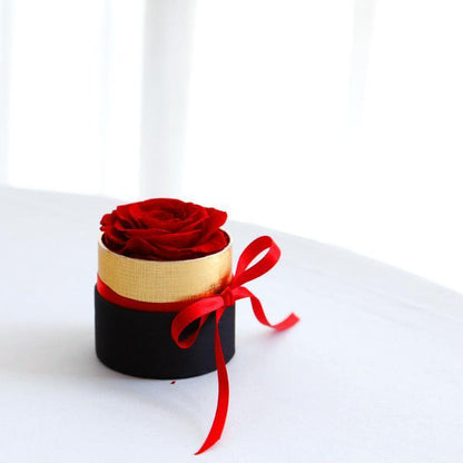 Preserved Rose Flowers Gift Box - HEPSIBAH SHOP