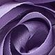 https://img.ltwebstatic.com/images3_spmp/2024/01/11/f9/1704958077524d755da82f285a476259437f6c04bb.jpg