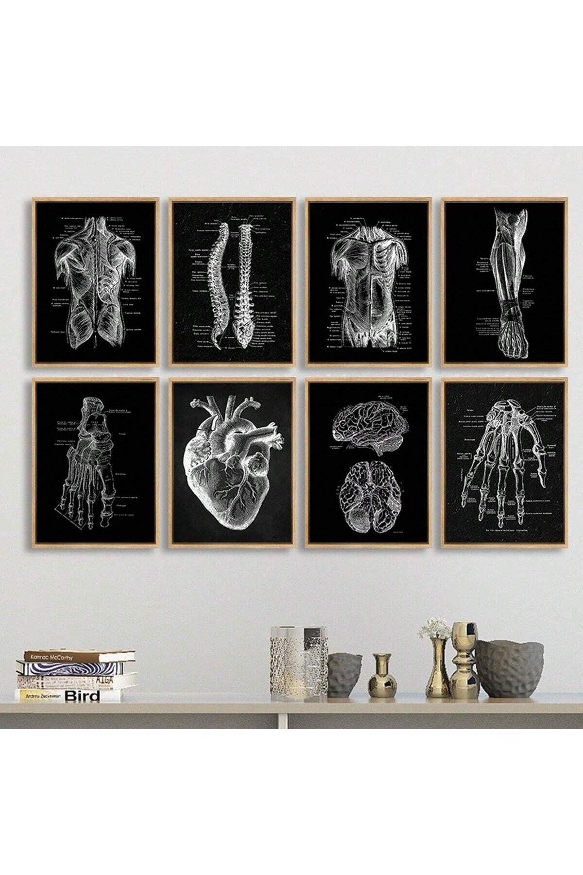 1/8pcs Unframed Canvas Prints, Human Anatomy Artwork, Muscle Skeleton Vintage Posters, Medical Wall Pictures, Education Paintings, Waterproof Wall Decor