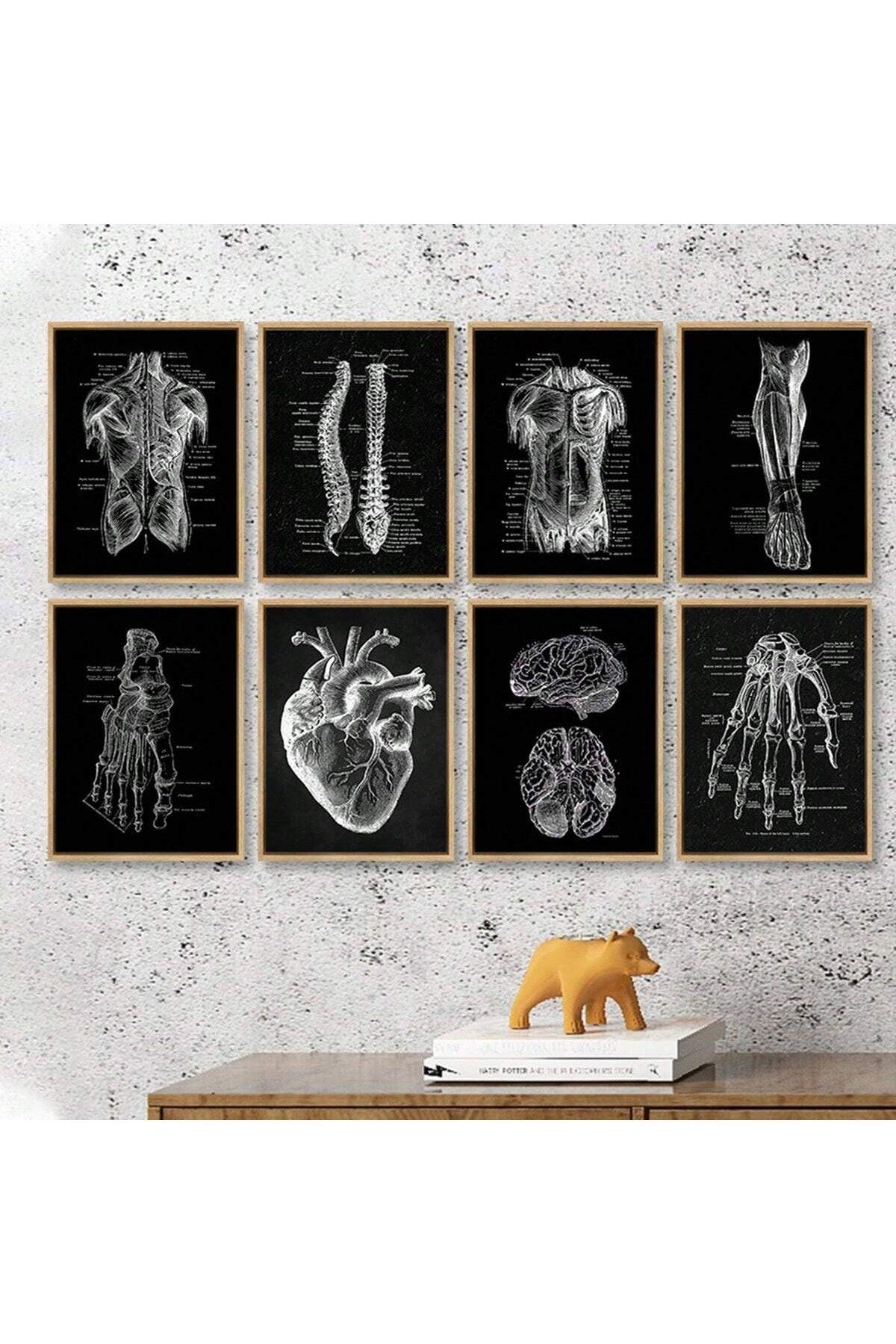1/8pcs Unframed Canvas Prints, Human Anatomy Artwork, Muscle Skeleton Vintage Posters, Medical Wall Pictures, Education Paintings, Waterproof Wall Decor