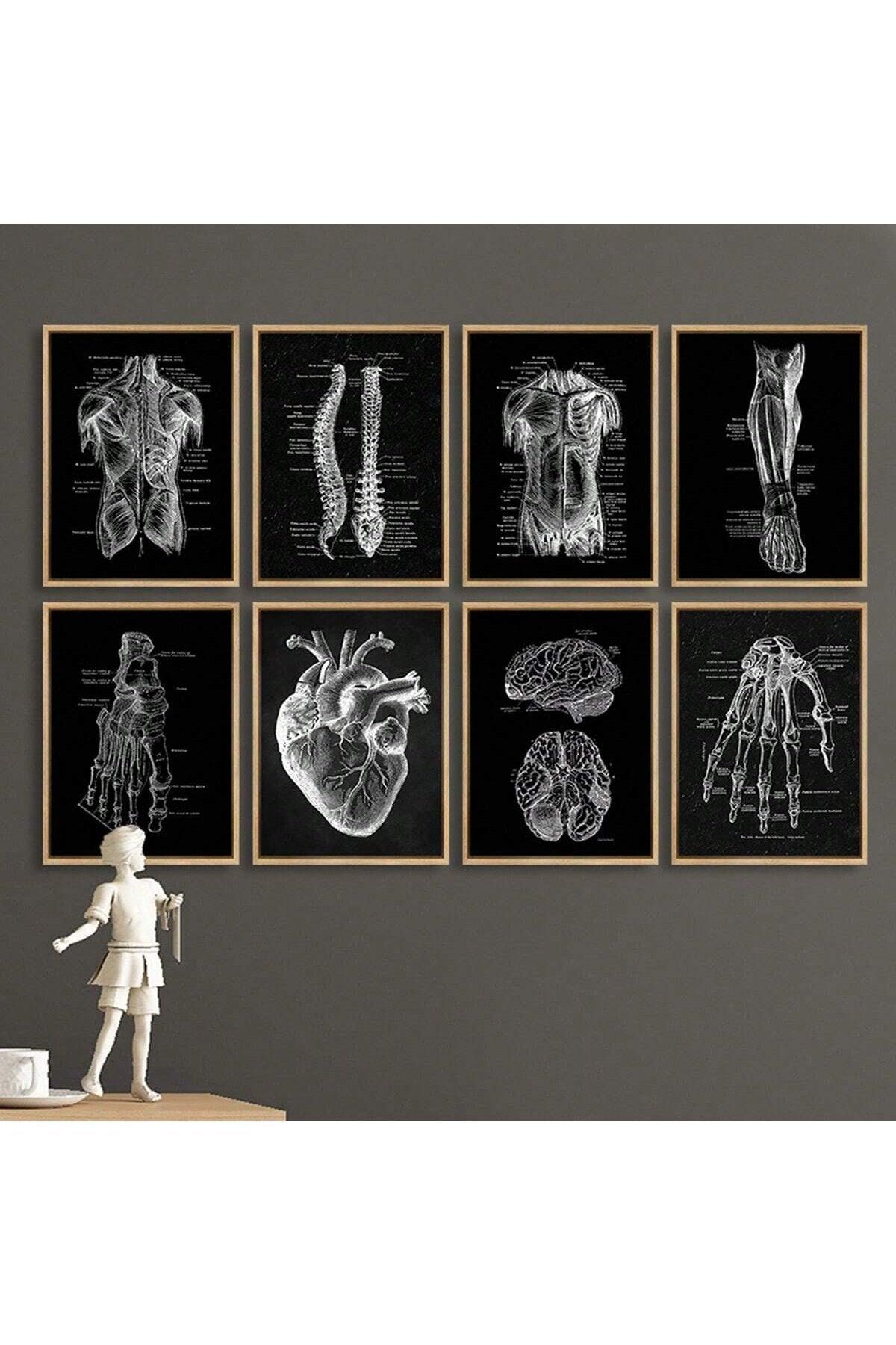 1/8pcs Unframed Canvas Prints, Human Anatomy Artwork, Muscle Skeleton Vintage Posters, Medical Wall Pictures, Education Paintings, Waterproof Wall Decor