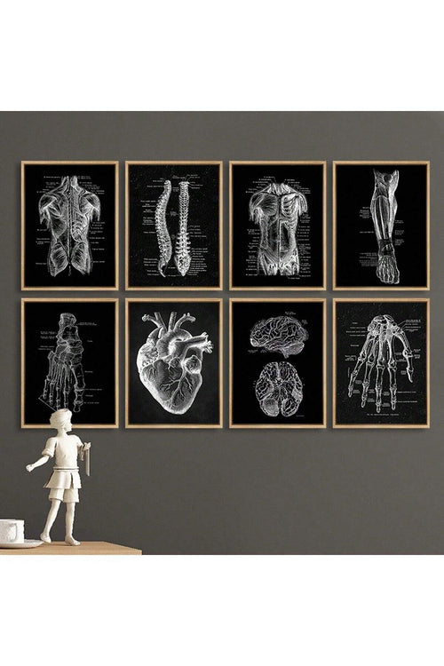 1/8pcs Unframed Canvas Prints, Human Anatomy Artwork, Muscle Skeleton Vintage Posters, Medical Wall Pictures, Education Paintings, Waterproof Wall Decor