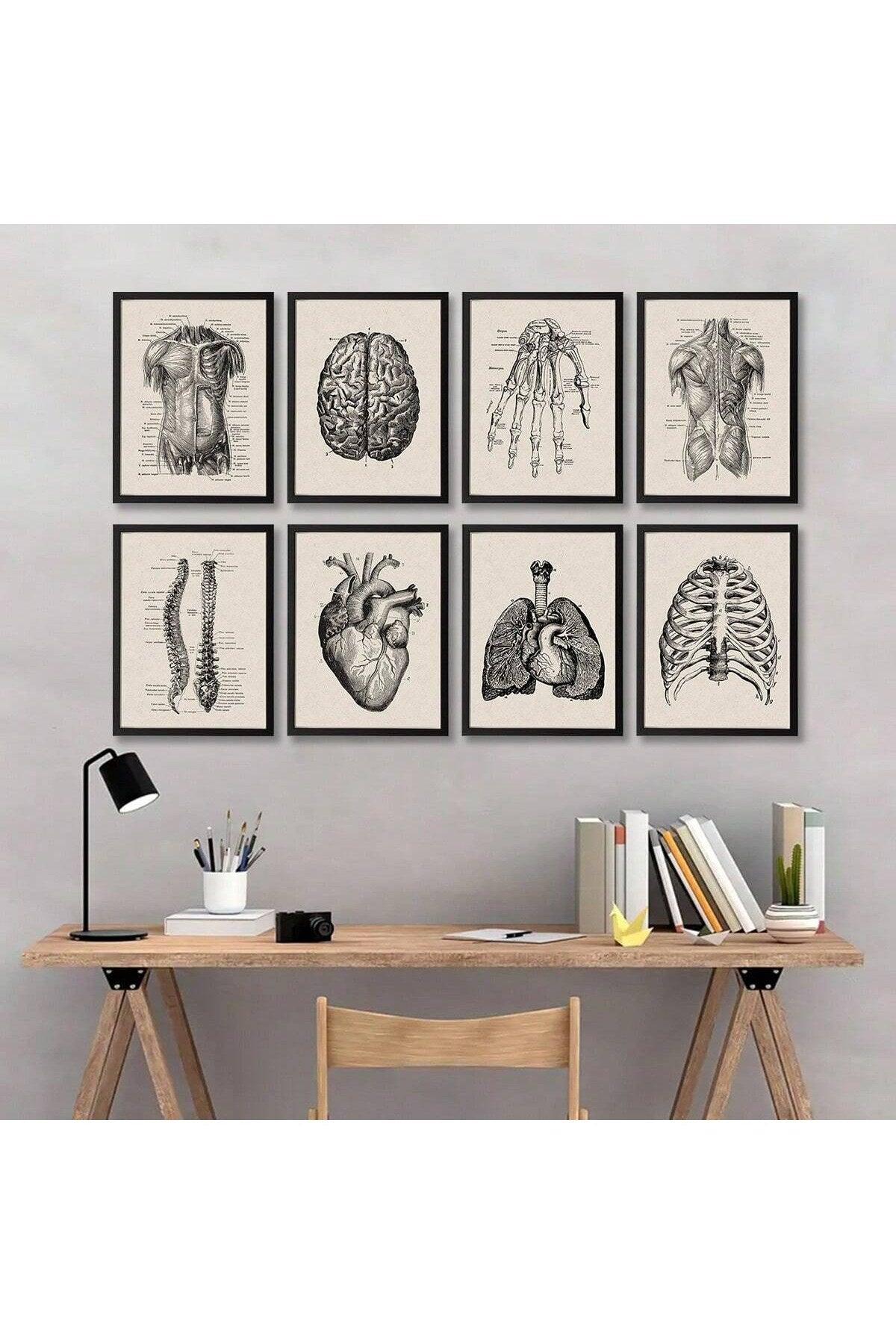 1/8pcs Frameless Canvas Poster Prints, Human Anatomy Artwork, Muscle Skeleton Vintage Posters, Medical Wall Pictures, Education Paintings, Waterproof Wall Decor