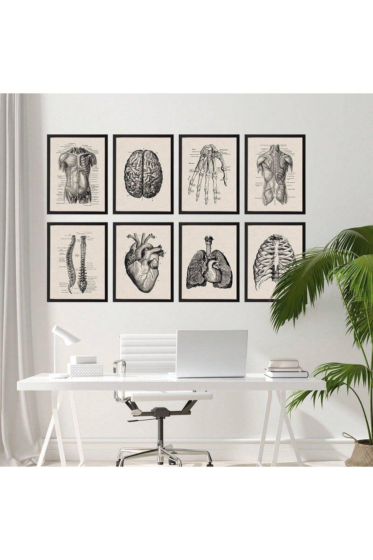 1/8pcs Frameless Canvas Poster Prints, Human Anatomy Artwork, Muscle Skeleton Vintage Posters, Medical Wall Pictures, Education Paintings, Waterproof Wall Decor