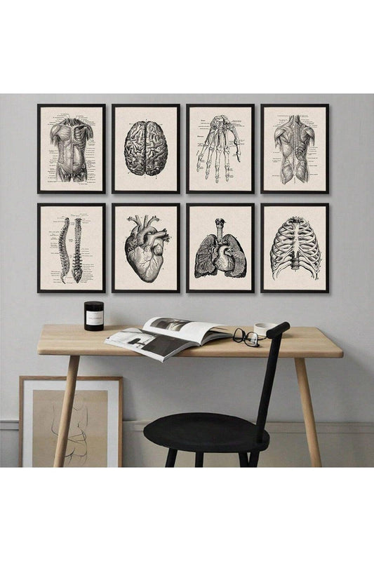 1/8pcs Frameless Canvas Poster Prints, Human Anatomy Artwork, Muscle Skeleton Vintage Posters, Medical Wall Pictures, Education Paintings, Waterproof Wall Decor