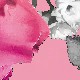 https://img.ltwebstatic.com/images3_pi/2024/03/02/95/17093702089e7b48053f102b7a355886ef41dec8ab.jpg