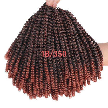 110g chemical fiber hair extensions-HEPSIBAH SHOP