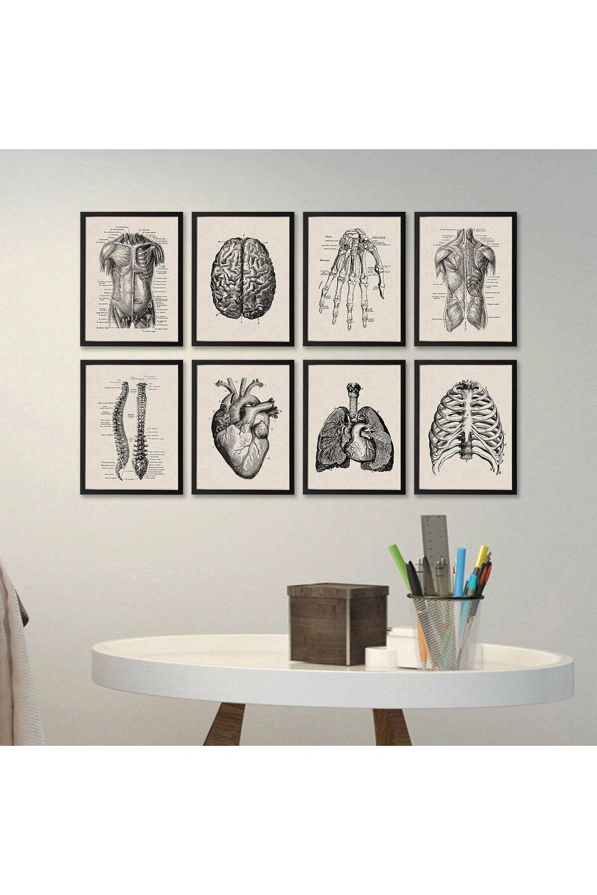 1/8pcs Frameless Canvas Poster Prints, Human Anatomy Artwork, Muscle Skeleton Vintage Posters, Medical Wall Pictures, Education Paintings, Waterproof Wall Decor