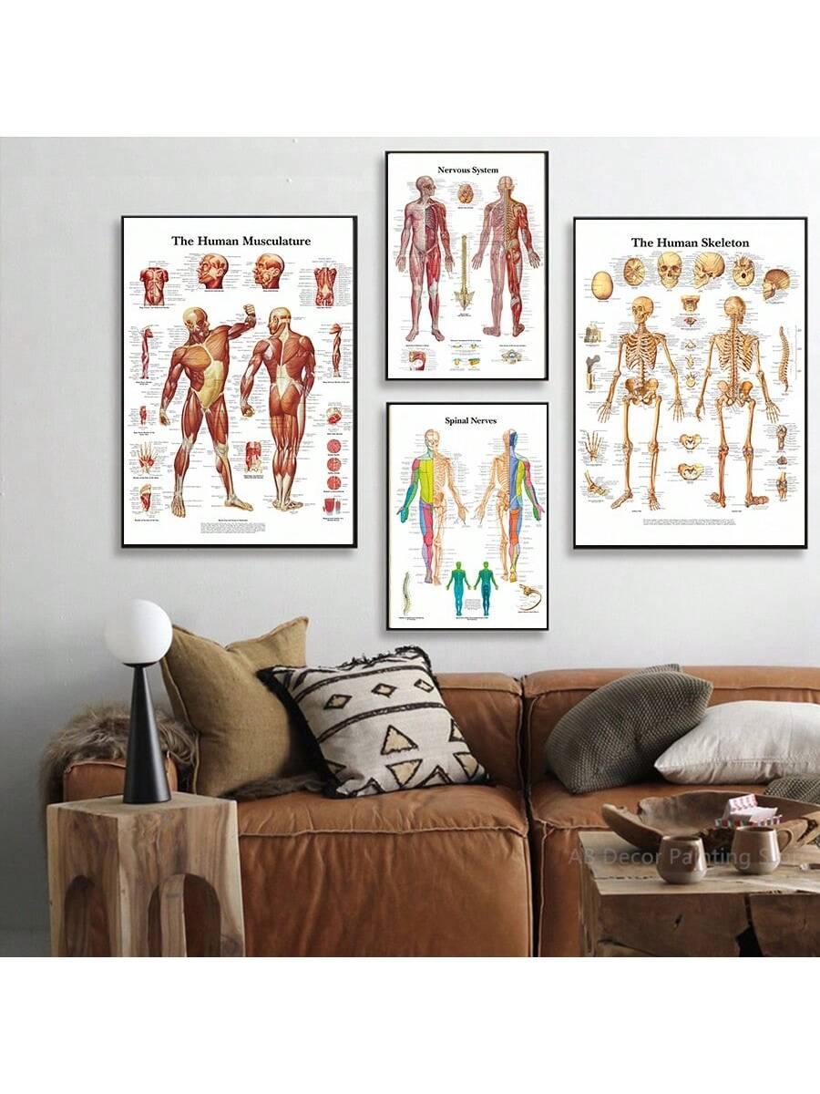 4pcs Human Torso And Upper And Lower Limb Nervous System Front And Rear View Posters Full Body Muscle Anatomy Illustrations Wall Art Unframed Canvas Paintings