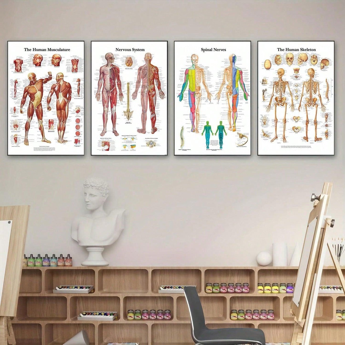 4pcs Human Torso And Upper And Lower Limb Nervous System Front And Rear View Posters Full Body Muscle Anatomy Illustrations Wall Art Unframed Canvas Paintings