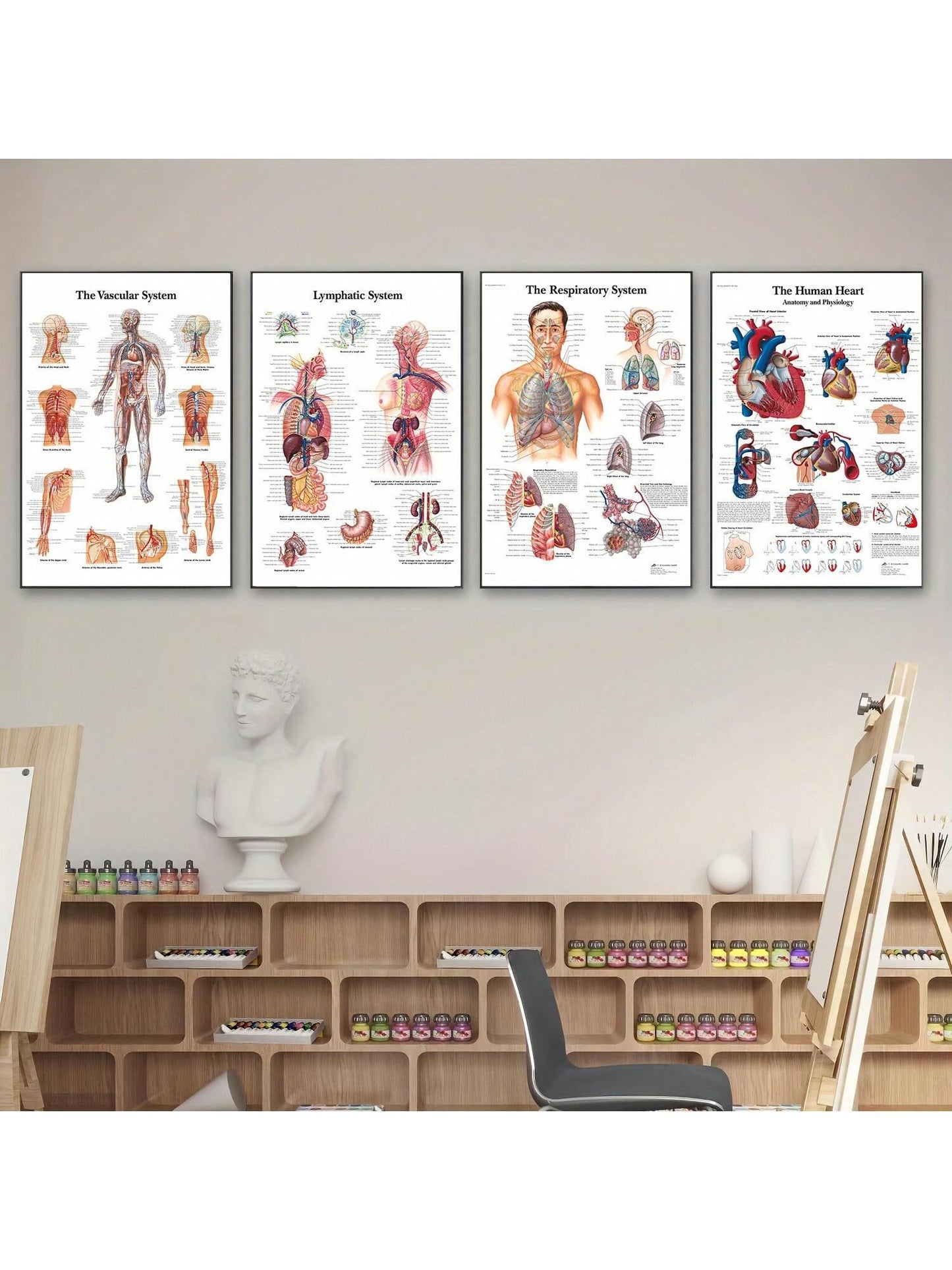 4pcs Human Torso And Upper And Lower Limb Nervous System Front And Rear View Posters Full Body Muscle Anatomy Illustrations Wall Art Unframed Canvas Paintings