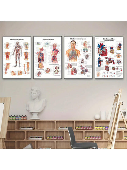 4pcs Human Torso And Upper And Lower Limb Nervous System Front And Rear View Posters Full Body Muscle Anatomy Illustrations Wall Art Unframed Canvas Paintings