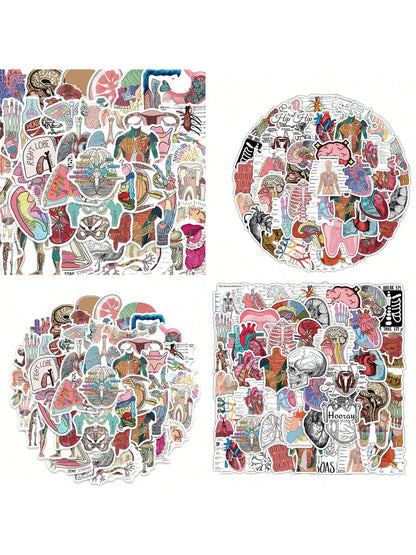 Anatomy Stickers |50Pcs Human Body Organ Waterproof Vinyl Decals For Water Bottles Bicycle Laptop Refrigerator Luggage Computer Mobile Phone Skateboard Bike Decor