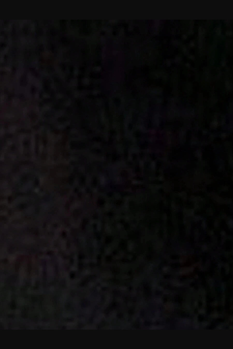 //img.ltwebstatic.com/v4/j/spmp/2025/04/02/75/17435646544e368f5c3e013ddfb8c86ba6beead9f3_thumbnail_900x.webp