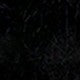 https://img.ltwebstatic.com/v4/j/pi/2025/08/05/20/175437888081cd1f50e2dbc8910690bbb60e223f25.jpg