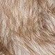 //img.ltwebstatic.com/v4/j/pi/2025/08/21/19/17557755413dc2818cd22f9be11696b3e1011ca246.jpg