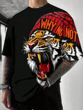 //img.ltwebstatic.com/v4/j/spmp/2026/01/21/c0/1768987836330ea1c9e968c6014b6b769a44e9b689_thumbnail_900x.webp
