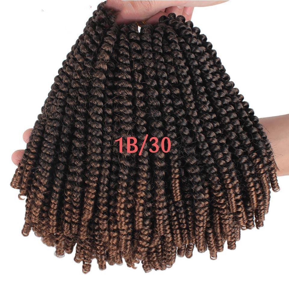 110g chemical fiber hair extensions-HEPSIBAH SHOP