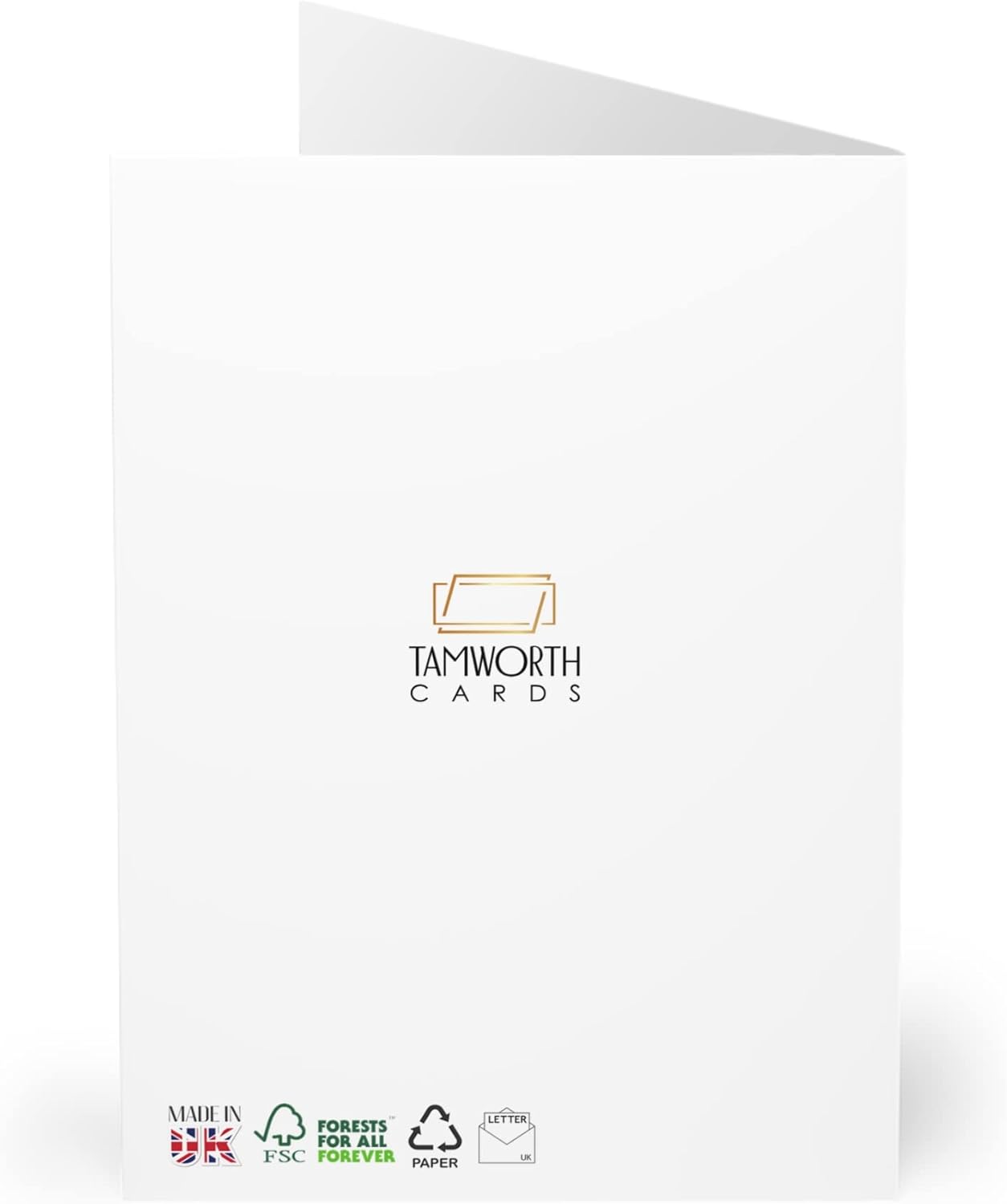 https://m.media-amazon.com/images/I/41YH-zZo2-L._AC_SL1500_.jpg