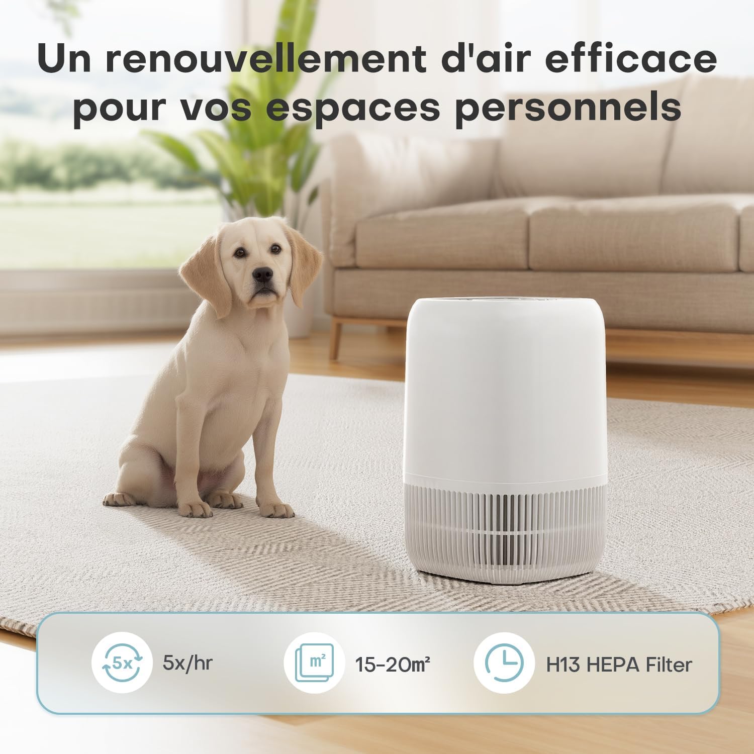 https://m.media-amazon.com/images/I/71hUtbjQ3QL._AC_SL1500_.jpg
