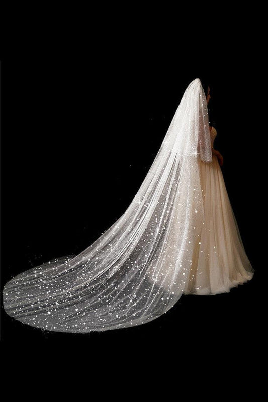 Wedding Dress Long Tail Luxury Super Fairy Wedding Veil - HEPSIBAH SHOP