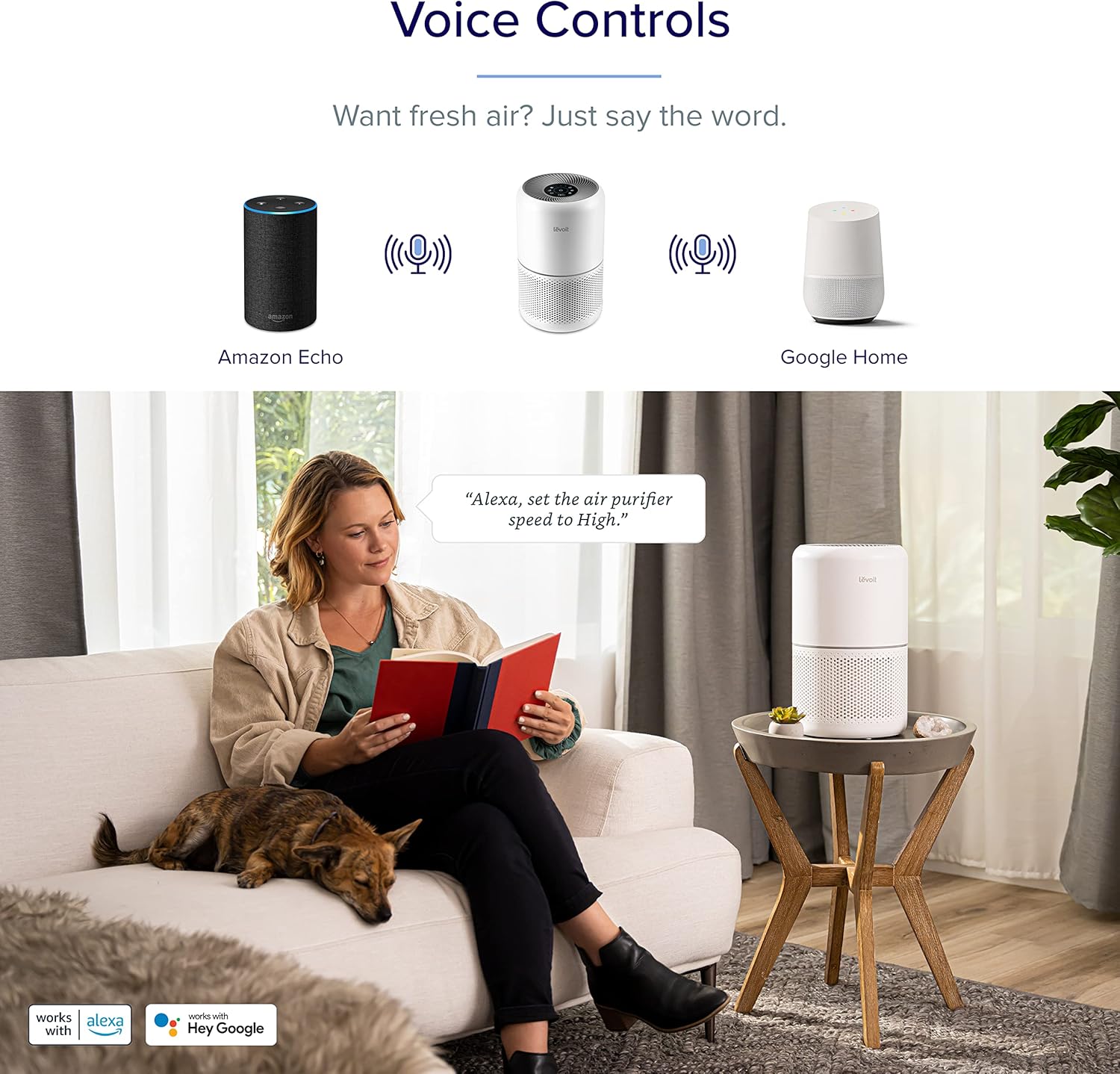 https://m.media-amazon.com/images/I/81JeODdDRyL._AC_SL1500_.jpg
