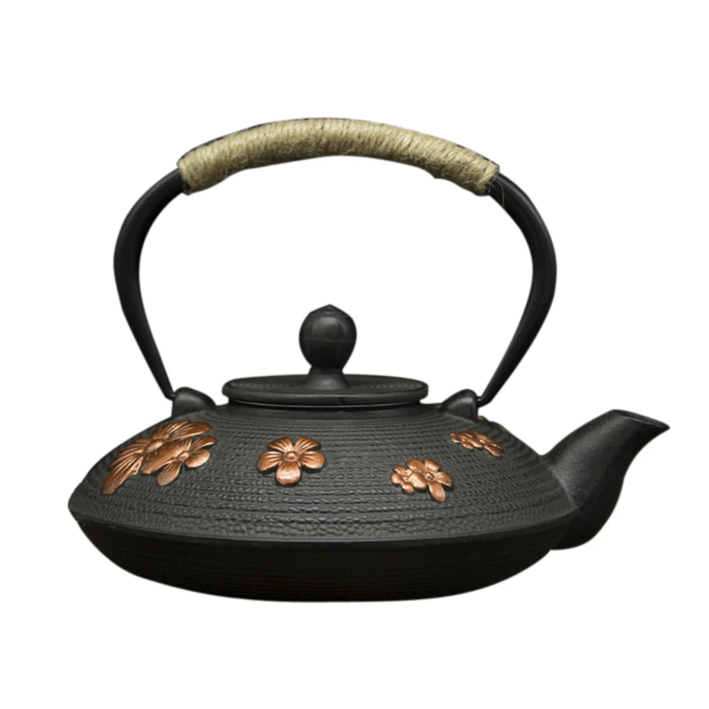 https://ae-pic-a1.aliexpress-media.com/kf/H87617025787143468a9263a6a87730fc4.jpg_500x500.jpg_.webp