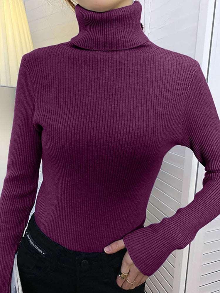 ABRINI Women Turtleneck Sweaters - HEPSIBAH SHOP