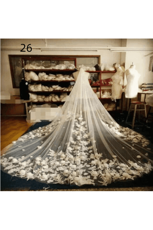 Wedding Dress Long Tail Luxury Super Fairy Wedding Veil - HEPSIBAH SHOP