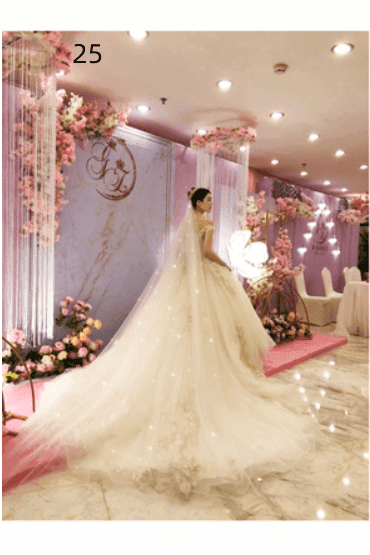 Wedding Dress Long Tail Luxury Super Fairy Wedding Veil - HEPSIBAH SHOP