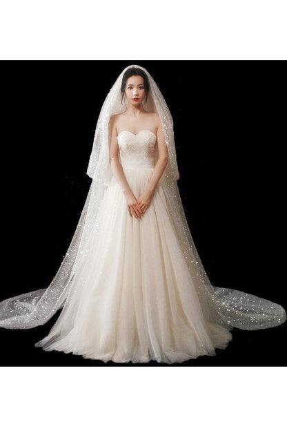 Wedding Dress Long Tail Luxury Super Fairy Wedding Veil - HEPSIBAH SHOP