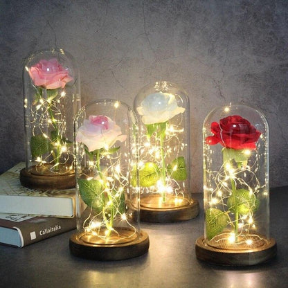 Rose Flower Glass Cover LED Lamp - HEPSIBAH SHOP