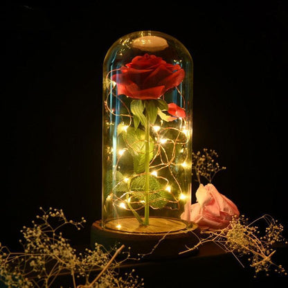 Rose Flower Glass Cover LED Lamp - HEPSIBAH SHOP