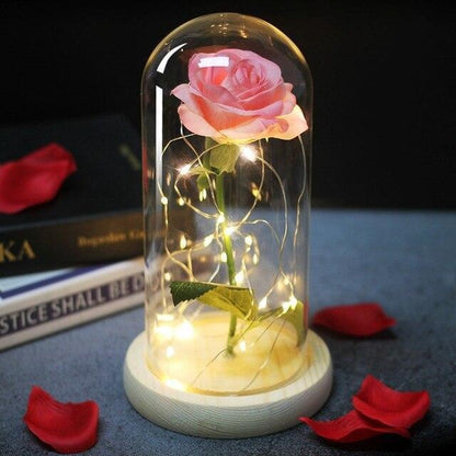 Rose Flower Glass Cover LED Lamp - HEPSIBAH SHOP