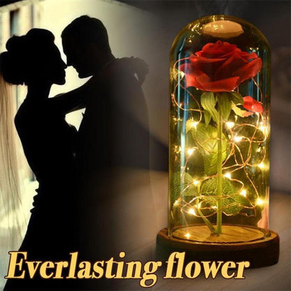 Rose Flower Glass Cover LED Lamp - HEPSIBAH SHOP