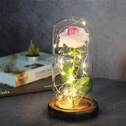 Rose Flower Glass Cover LED Lamp - HEPSIBAH SHOP