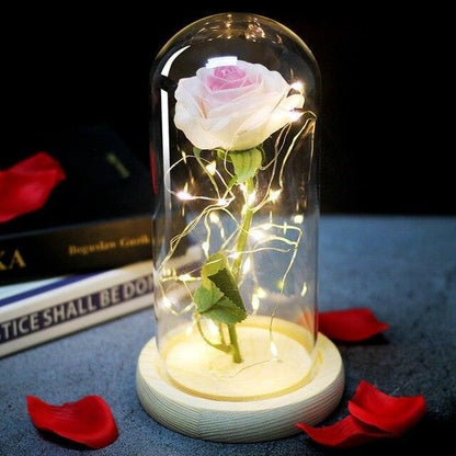 Rose Flower Glass Cover LED Lamp - HEPSIBAH SHOP