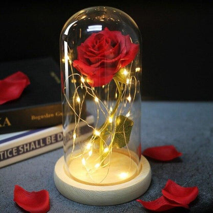 Rose Flower Glass Cover LED Lamp - HEPSIBAH SHOP