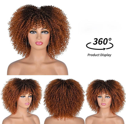 Short Hair Afro Kinky Curly Wigs - HEPSIBAH SHOP