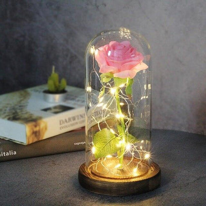 Rose Flower Glass Cover LED Lamp - HEPSIBAH SHOP