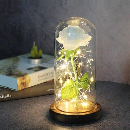 Rose Flower Glass Cover LED Lamp - HEPSIBAH SHOP