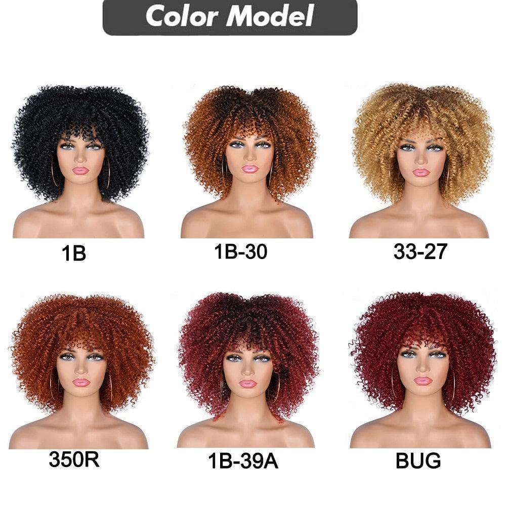 Short Hair Afro Kinky Curly Wigs - HEPSIBAH SHOP