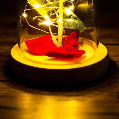 Rose Flower Glass Cover LED Lamp - HEPSIBAH SHOP